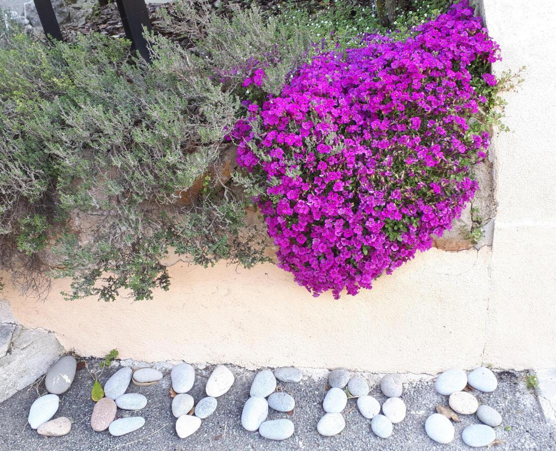 Bed and Breakfast Lou Mas Dau Paigran Saint-Blaise  Exterior foto