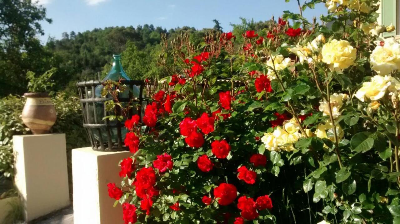 Bed and Breakfast Lou Mas Dau Paigran Saint-Blaise  Exterior foto